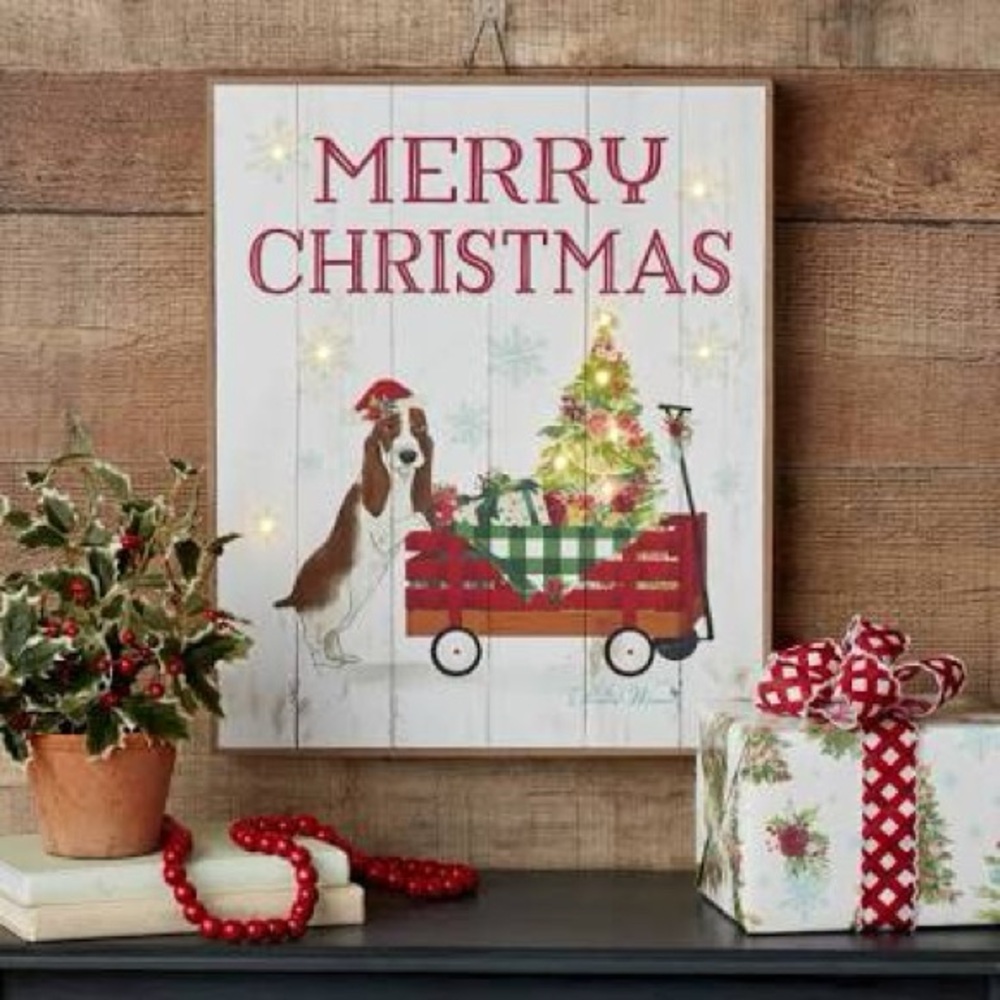 🌺 New Pioneer Woman Merry Christmas Light Up Charlie Red Wagon LED Sign. Timer